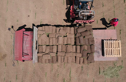 transporte_2 transporte_2