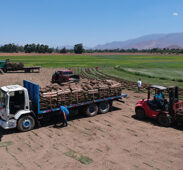 transporte